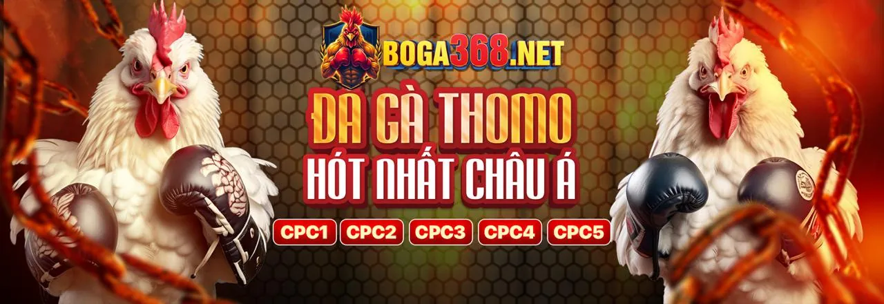 Đá Gà Trực Tuyến Sống Động tại 88aa club